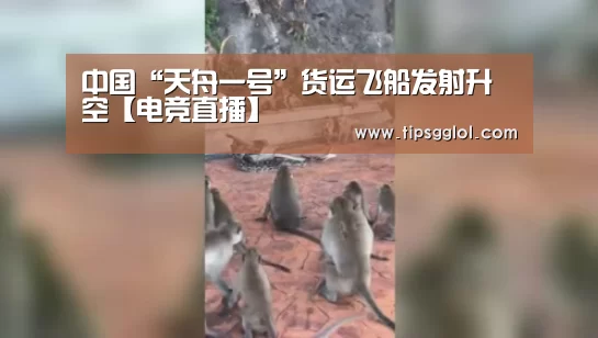 中国“天舟一号”货运飞船发射升空【电竞直播】(图1) LOL英雄联盟投注 - 官方电竞竞猜平台官网