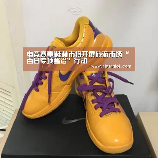 电竞赛事|桂林市将开展旅游市场“百日专项整治”行动(图3) 电竞赛事