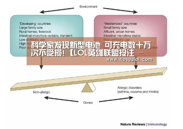 科学家发现新型电池 可充电数十万次不受损!【LOL英雄联盟投注 - 官方电竞竞猜平台官网】(图1) 电竞直播