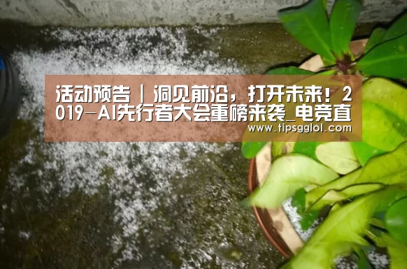 活动预告 | 洞见前沿,打开未来!2019-AI先行者大会重磅来袭_电竞直播(图3) 电竞直播